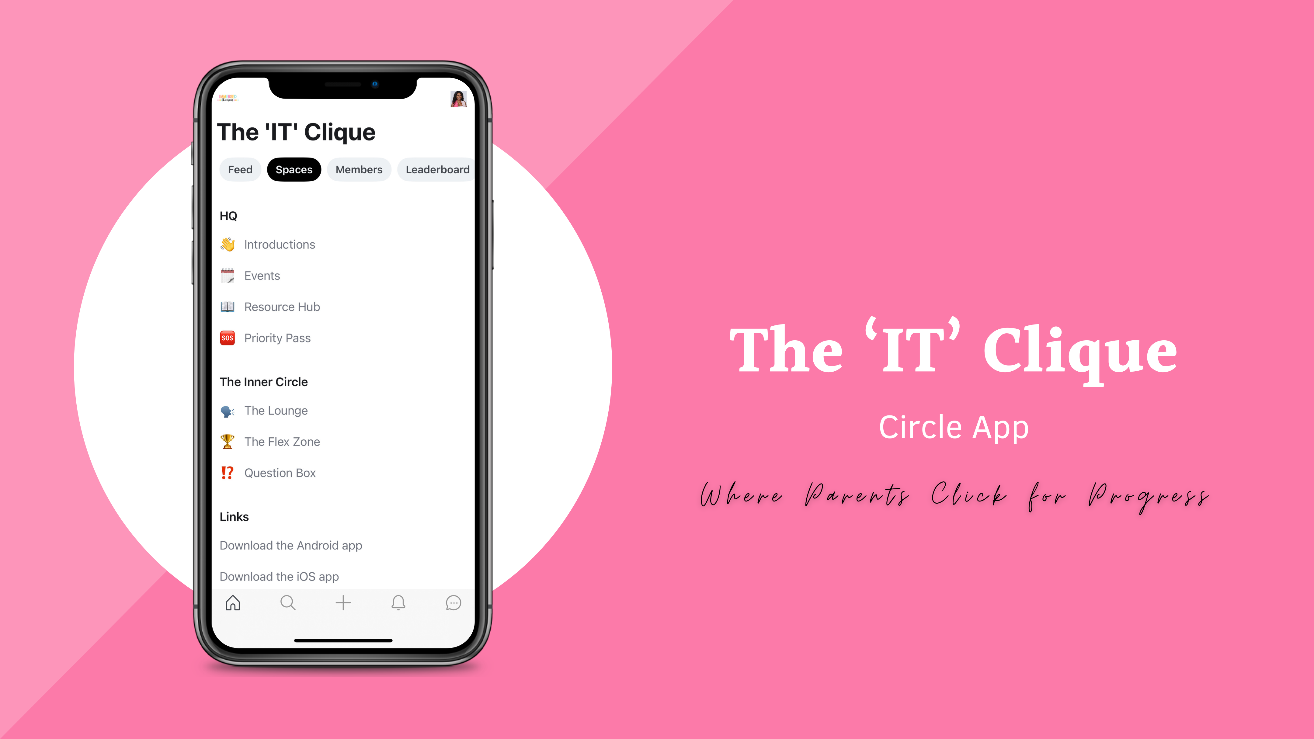 Shaqueena DCP - The IT Clique-2